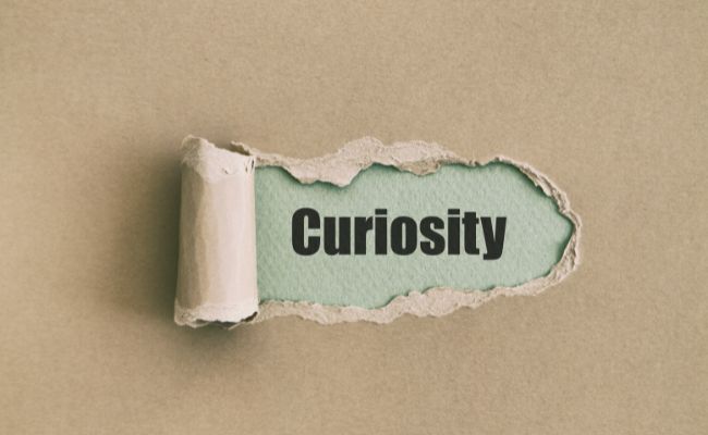 How to cultivate more curiosity in your life and career