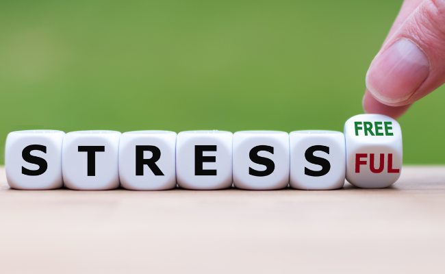 Seeing the space between stressor and stress response